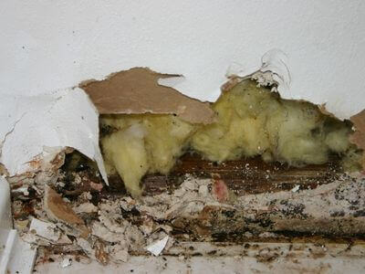 About Trust Restoration - water damage restoration experts in Cambridge